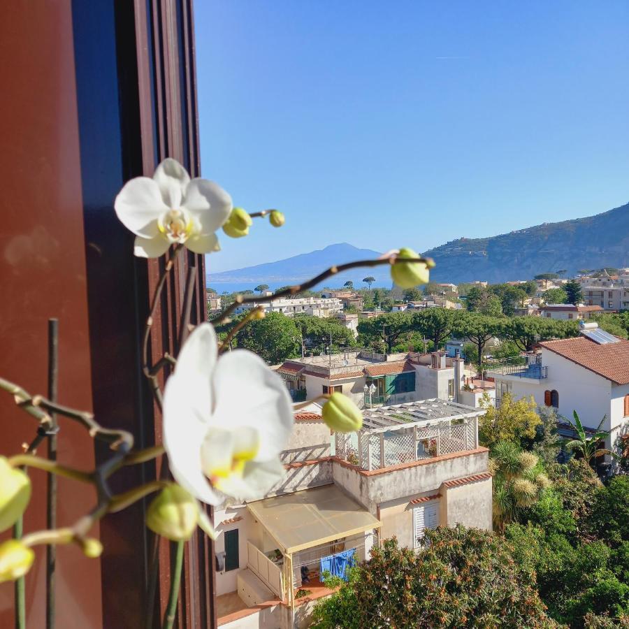 Standbyme Apartment Sant'Agnello Ngoại thất bức ảnh